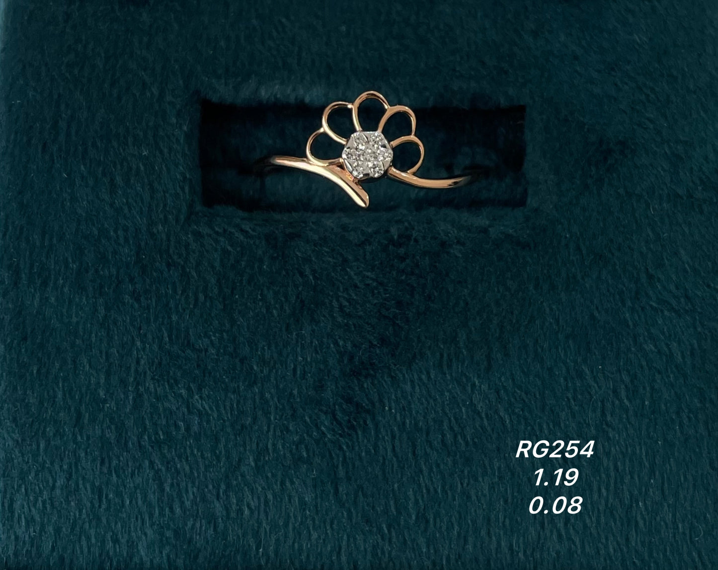 Ring 14kt RG00254